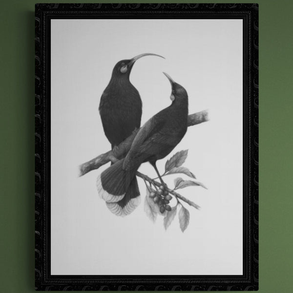 A Lost Harmony (Huia) - A3